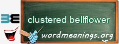 WordMeaning blackboard for clustered bellflower